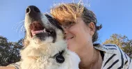 avatar petsitter
