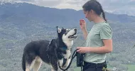 avatar petsitter