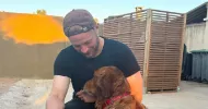 avatar petsitter