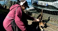 avatar petsitter
