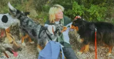 avatar petsitter