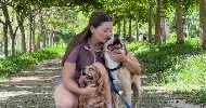 avatar petsitter