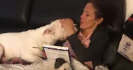 avatar petsitter