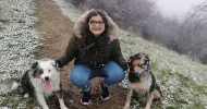 avatar petsitter