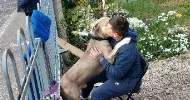 avatar petsitter