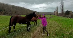 avatar petsitter