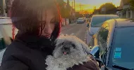 avatar petsitter