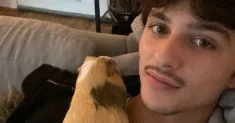 avatar petsitter