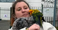 avatar petsitter