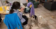 avatar petsitter
