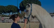 avatar petsitter