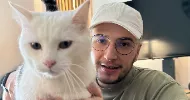 avatar petsitter
