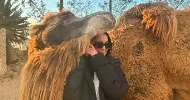 avatar petsitter