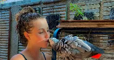 avatar petsitter