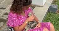 avatar petsitter
