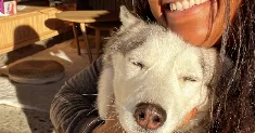 avatar petsitter