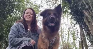 avatar petsitter