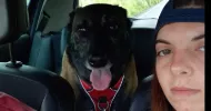 avatar petsitter
