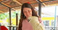 avatar petsitter