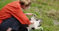 avatar petsitter