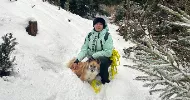 avatar petsitter