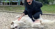 avatar petsitter