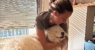 avatar petsitter