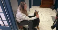 avatar petsitter