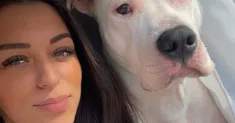 avatar petsitter