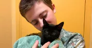 avatar petsitter