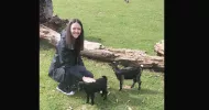 avatar petsitter