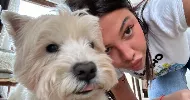 avatar petsitter