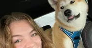 avatar petsitter