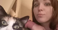 avatar petsitter