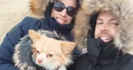 avatar petsitter