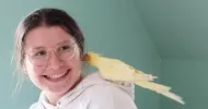 avatar petsitter