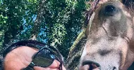 avatar petsitter