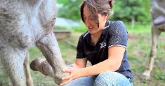 avatar petsitter