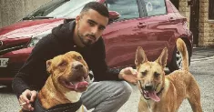 avatar petsitter