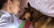 avatar petsitter