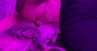 avatar petsitter