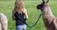 avatar petsitter
