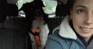 avatar petsitter