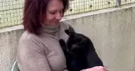 avatar petsitter