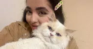 avatar petsitter