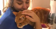 avatar petsitter