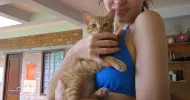 avatar petsitter
