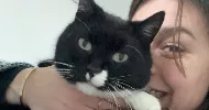 avatar petsitter