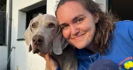 avatar petsitter