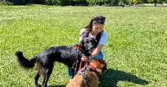 avatar petsitter
